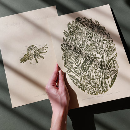 gallery wall set of 2 piece vintage anatomy echinacea purpurea flowers retro linocut print original artwork poison botanical master bedroom window nook decor sister gift floral lino rustic linogravure Sage green monochrome herb botanical staircase mother romantic vintage focal point relief handprint cottagecore living hostess farmhouse mother grandmother professor home office workspace handmade nature lover farm room dining entryway kitchen dorm mom wife woman girlfriend godmother apartment