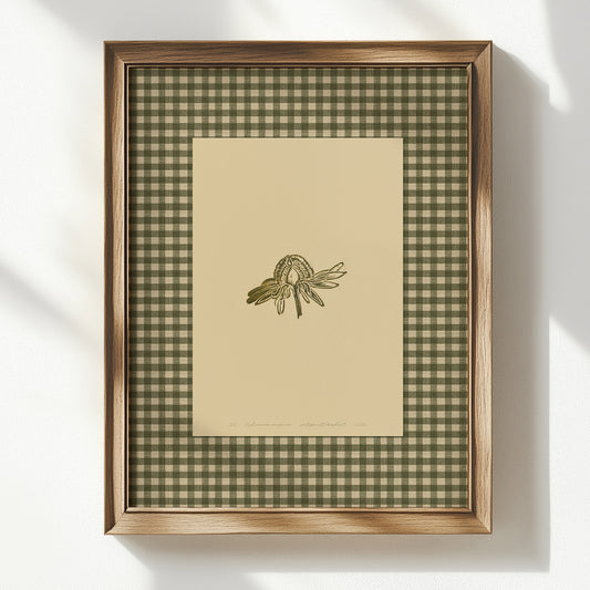 printable wall art anatomy flower echinacea purpurea sage green color gingham large linocut prints retro chateaucore checkered decor farm hallway digital poster engraving style rustic linogravure floral lino Beige forestcore study instant download botanical grand millennial modern kitchen mom gift living room antique dining hostess earth tone downloadable nature bedroom home office housewarming farmhouse mother grandmother sister self wife women girlfriend reading nook Entryway engraving etching