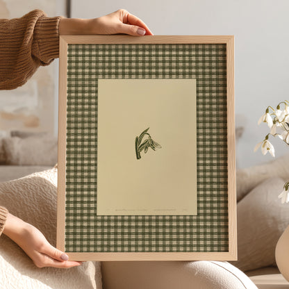 Printable Sage Green Gingham Snowdrop Flower Linocut Prints Retro Chateaucore Checkered Wall Art Romantic Decor Digital Poster winter 
european vintage, french countryside, scandinavian folk art, nordic nature illustration, herbal alchemy botanical art, old european domestic still life art hearth and home, cottagecore wall art, cottage core, Botanical wall art, Botanical print, bookshelf decor, Bedroom wall art, aunt gift, Aesthetic wall art