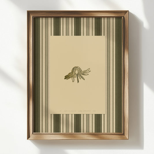 Earth tones beige retro cottagecore forestcore decor anatomy flower echinacea purpurea large linocut prints sage green color striped printable wall art dining nook digital poster nature lino vintage botanical floral linogravure literature core floral bedroom home office nature Monochrome godmother grand millennial hallway living antique plant lover chateaucore hostess downloadable instant download housewarming laundry above bed farmhouse sister self wife women Entryway Garden window foyer