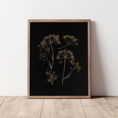 Black retro neutral prints fennel plant printable wall art vintage kitchen pressed herbarium pantry dried flower nana hostess gift digital poster laundry room harvest home decor english cottage warm earth tones dark academia window nook primary bedroom dining room unique godmother wife gift rustic farmhouse herb botanical living room mother day home office poison grandmother downloadable instant download hostess godmother sister girlfriend daughter nature dorm laundry new home self housewarming