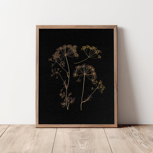 Black retro neutral prints fennel plant printable wall art vintage kitchen pressed herbarium pantry dried flower nana hostess gift digital poster laundry room harvest home decor english cottage warm earth tones dark academia window nook primary bedroom dining room unique godmother wife gift rustic farmhouse herb botanical living room mother day home office poison grandmother downloadable instant download hostess godmother sister girlfriend daughter nature dorm laundry new home self housewarming
