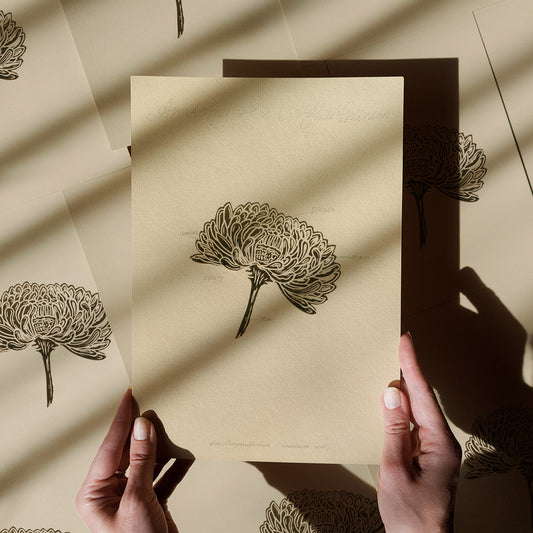 Vintage Anatomy Chrysanthemum Flower Linocut Print Sage Green Botanical Original Artwork Laundry Room Wall Art Decor Educational Nature Gift
 Linocut print Linogravure Lino print flower wall hanging Vintage art unique wall art trendy thank you gift boss teacher appreciation gift Summer Spring wall art sister in law gift signature shelf decor self gift Sage green color rustic wall art Retro artwork retirement Relief print realtor closing gift Printmaking art plant lover gift original illustration original 