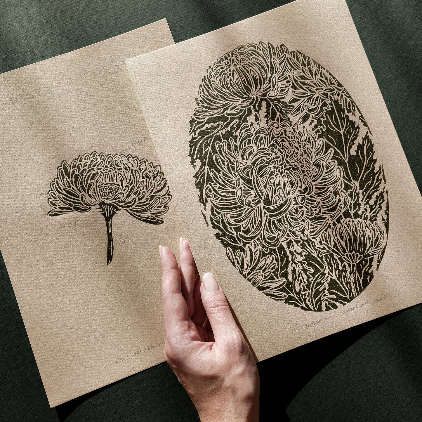 vintage flower art
anatomy flower
linocut print
gallery wall set
set of 2 print
cottagecore wall art
floral lino print
original artwork
modern kitchen art
hallway wall decor
mother gift ideas
chrysanthemum flower
rustic linogravure