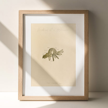 vintage anatomy echinacea purpurea flowers retro linocut print original artwork poison botanical master bedroom window nook decor sister gift floral lino rustic linogravure Sage green monochrome herb botanical 
Linoleum print laundry room decor inscription above bed wall art, pantry wall decor, Housewarming gift hostess gift home gift unique heirloom gift heilroom wall decor handmade gift for women coffee corner decor, guest bathroom wall decor, handmade bedroom focal point art, gift for the home