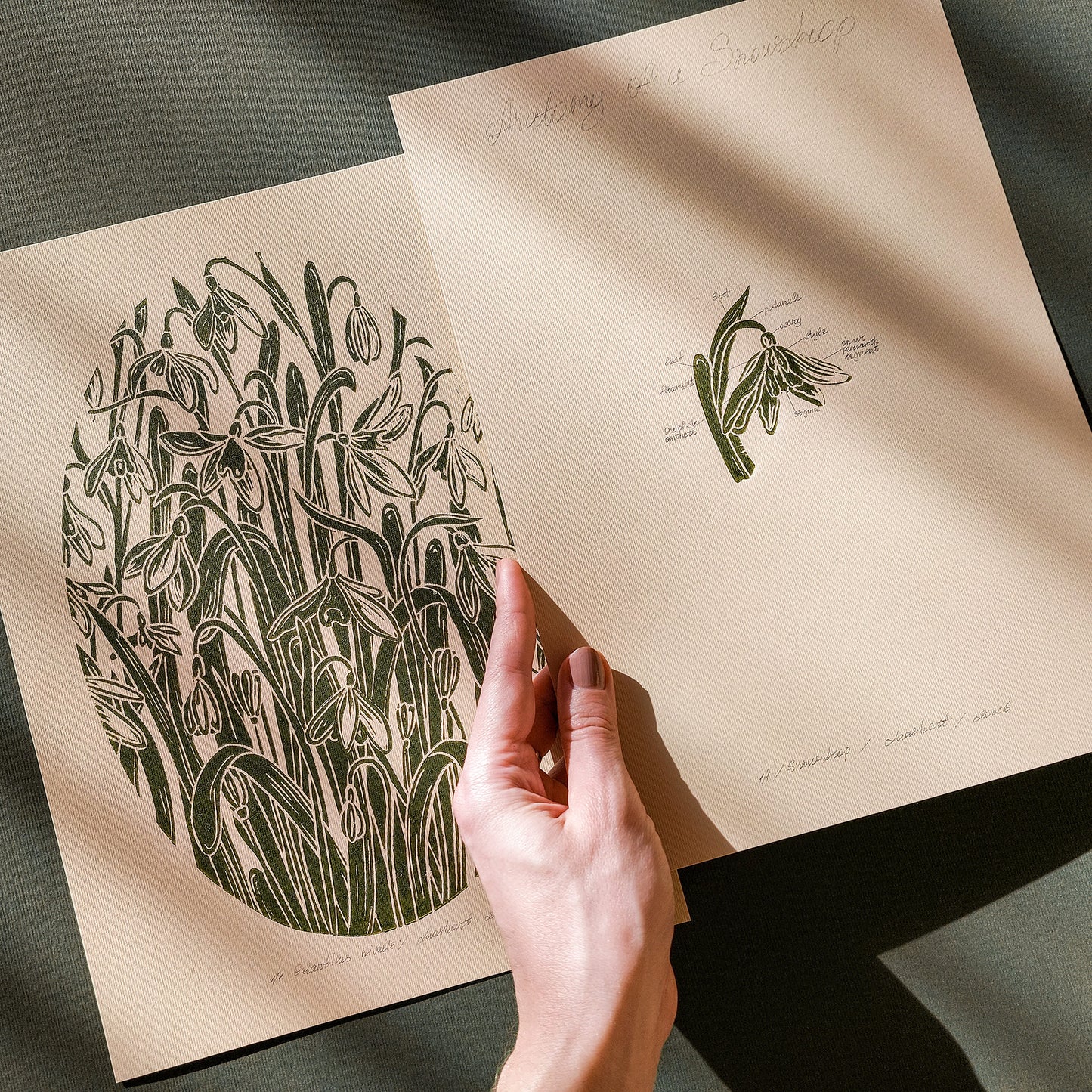 Sage green gallery wall set of 2 vintage flower anatomy snowdrop rustic linocut print original artwork chateaucore relief handprint quiet luxury study room decor nature linogravure mom gift ideas floral lino minimalist botanical sage green color staircase valentine hostess printmaking bedroom mother grandmother living home office workspace handmade educational farm retro dining entryway kitchen dorm wife woman sister godmother apartment Present Gratitude Professor powder guest room farmhouse new beginnings