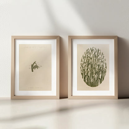 Gallery Wall Set 2 Vintage Anatomy Snowdrop Flowers Linocut Print Original Herb Botanical Artwork Bedroom Focal Point Art Decor Mother Gift
Linocut print Linogravure Lino print flower wall hanging reading nook wall art, Vintage art unique wall art trendy thank you gift boss teacher appreciation gift english cottage, country cottage wall decor&nbsp;european countryside wall art, soft organic modern, poetic, etching style, headboard wall art, french vintage wall art, nordic fine, creative studio wall art