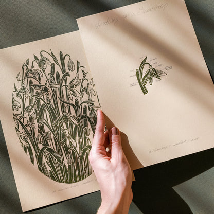 Sage green and beige gallery wall set of 2 peace vintage anatomy snowdrop flowers retro linocut print original artwork herb botanical art primary bedroom focal point staircase mother gift ideas floral lino rustic linogravure relief handprint cottagecore living hostess gift chateaucore farmhouse mother grandmother for professor home office workspace handmade nature lover rustic farm room dining entryway kitchen dorm mom wife woman sister girlfriend godmother apartment Present Gratitude Professor