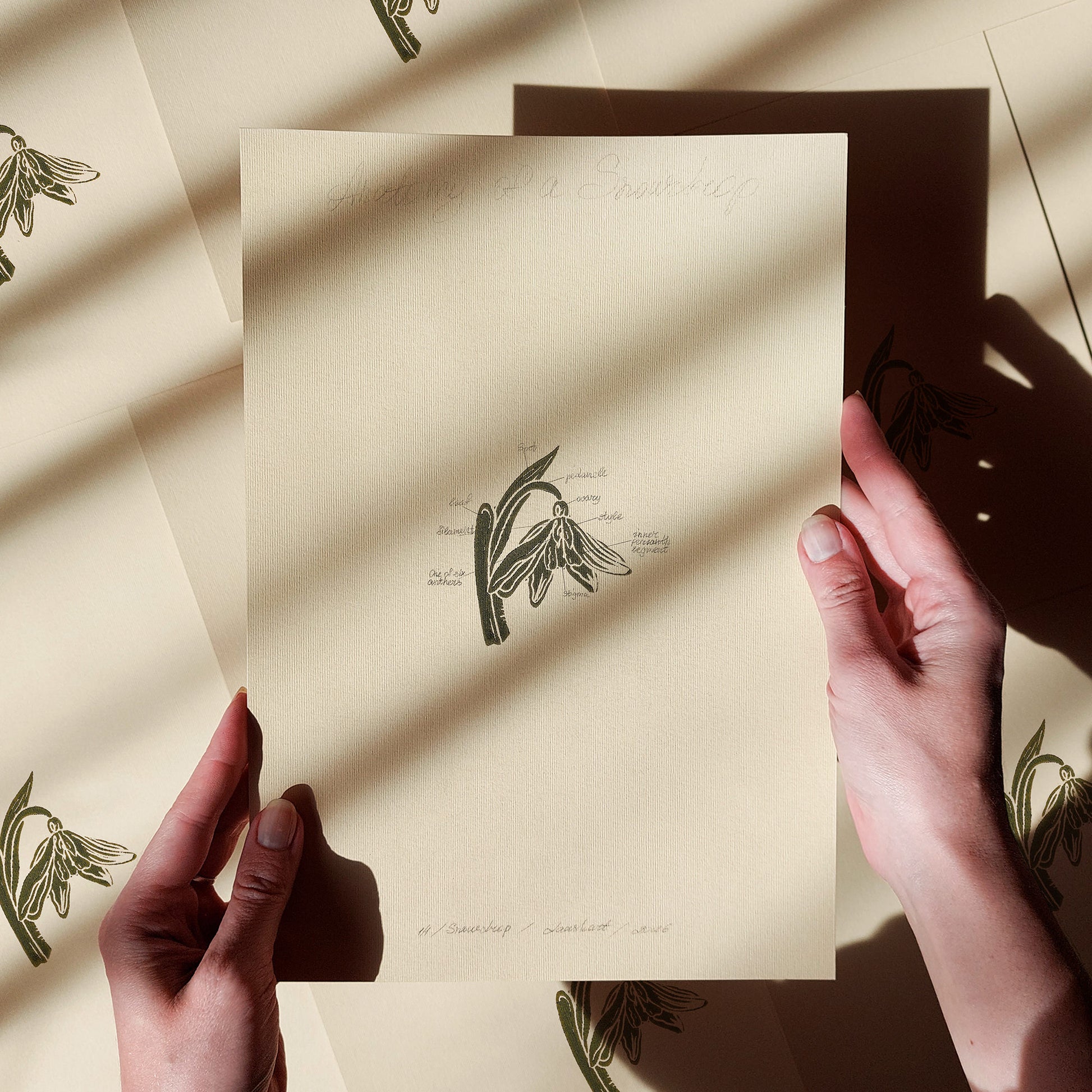 Sage green vintage flower anatomy snowdrop rustic linocut print original artwork chateaucore relief handprint quiet luxury study room decor nature linogravure mom gift ideas floral lino minimalist botanical sage green color staircase valentine hostess printmaking bedroom mother grandmother living home office workspace handmade educational farm retro dining entryway kitchen dorm wife woman sister godmother apartment Present Gratitude Professor powder guest room farmhouse new beginnings