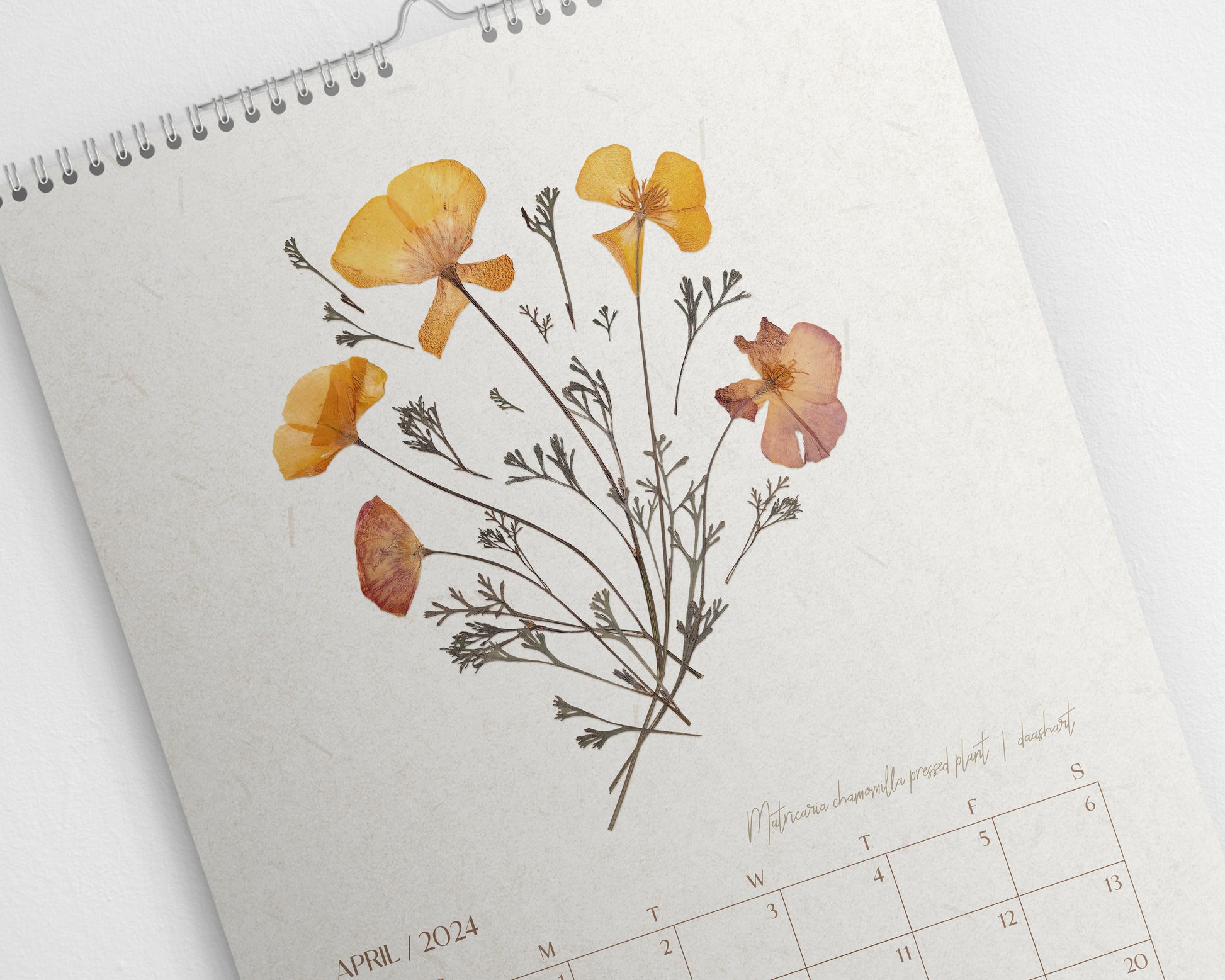 Large printable calendar 2024 Monthly planner 11x17in Minimalist pressed flower and plants wall art Herbarium INSTANT DOWNLOAD, Nature lover gift, calendar note, Digital monthly calendar, Floral wall art, New year gift, living room, bedroom decor, farmhouse wall decor