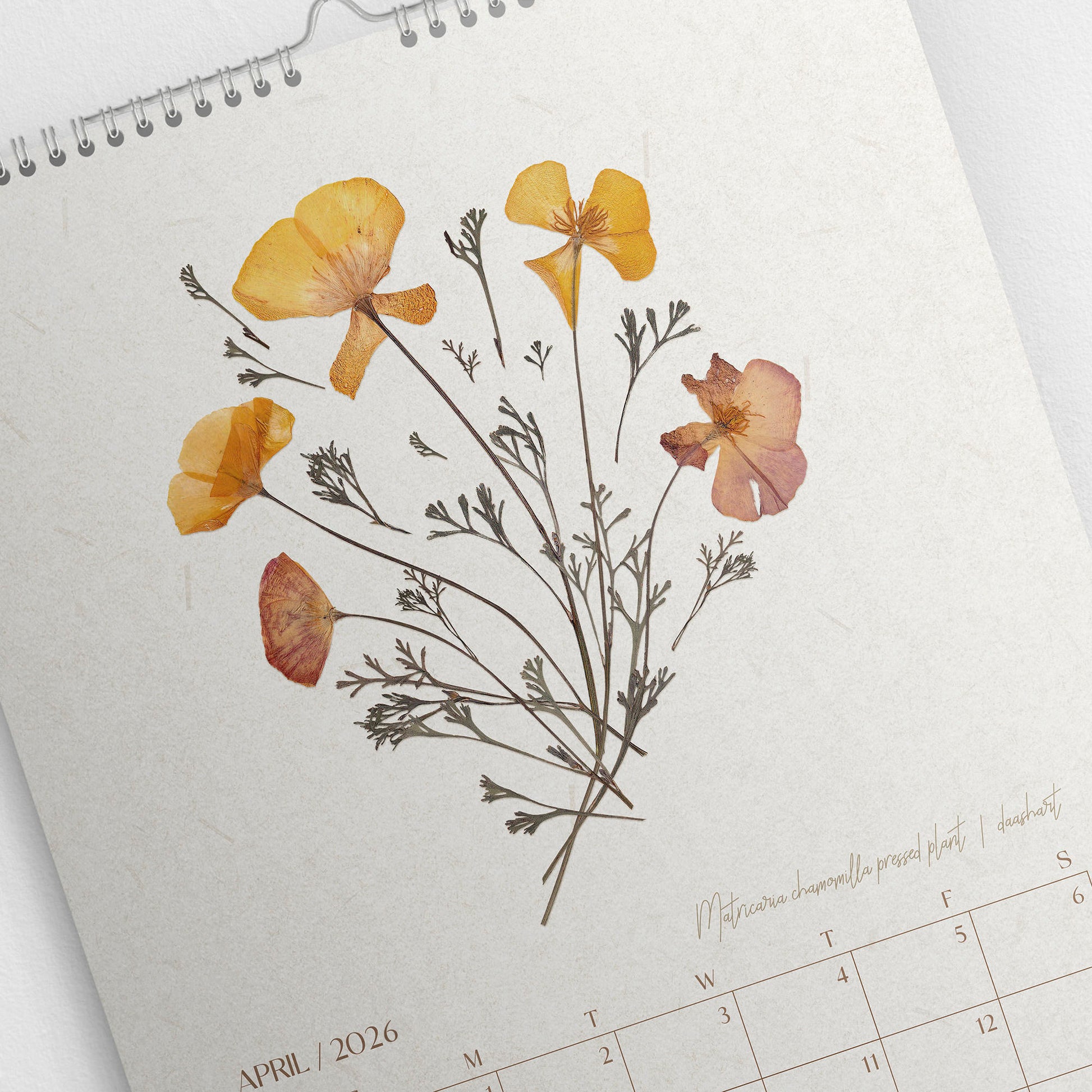 2026 Large Printable Calendar Monthly Planner 11x17in Vintage Pressed Flower and Plants Wall Herbarium Cottagecore Decor INSTANT DOWNLOAD Thank You Gift, bathroom prints, living room wall art, dorm room decor, laundry room decor, mens room decor, home office decor, man cave room,&nbsp;new home gift, home gift unique, self gift, house warming gift, housewarming gift, thank you gift, Thoughtful Autumn Gift, heirloom gift, long distance gift, gift for husband, thinking of you gift, new job gift, girlfriend 
