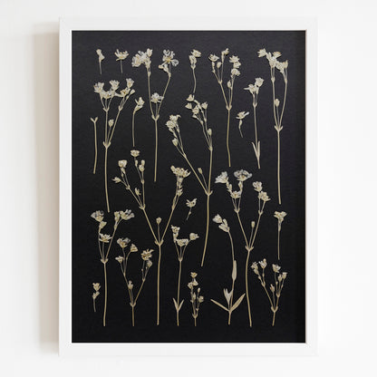 black wall decor
dried flowers
original artwork
botanical wall art
wildflower wall art
nature wall art
farmhouse wall decor
cottagecore wall art
plant lover gift
one of a kind
herbarium decor
grandmother gift
pressed flowers