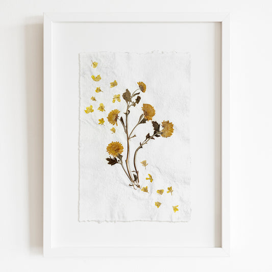 Yellow mini pressed wildflower and chrysanthemum flowers on Recycled paper Original artwork wall hanging, unique wall art, trendy wall art, thank you gift boss, teacher appreciation gift, Summer wall art, Spring wall art, sister in law gift, shelf decor, self gift, rustic wall art, retirement gift, realtor closing gift, pressed plants art, pressed leaves art, Pressed flower art, Plant print, plant lover gift, original artwork, one of a kind, nurse gift, niece gift from aunt, new mom gift, new job gift