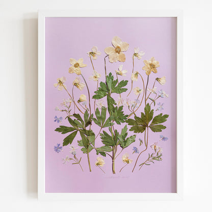 spring wall art
dried flowers
white violets
forest anemone
green pressed leaves
wildflower wall art
purple paper
floral wall decor
plant lover gift
original artwork
pressed flower art
one of a kind
grandmother gift
Modern kitchen art
Dining room wall decor
Entryway decor
Mother day gift
mom birthday gift
grandma gift
new mom gift
grandmother gift
gift for aunt
hostess gift