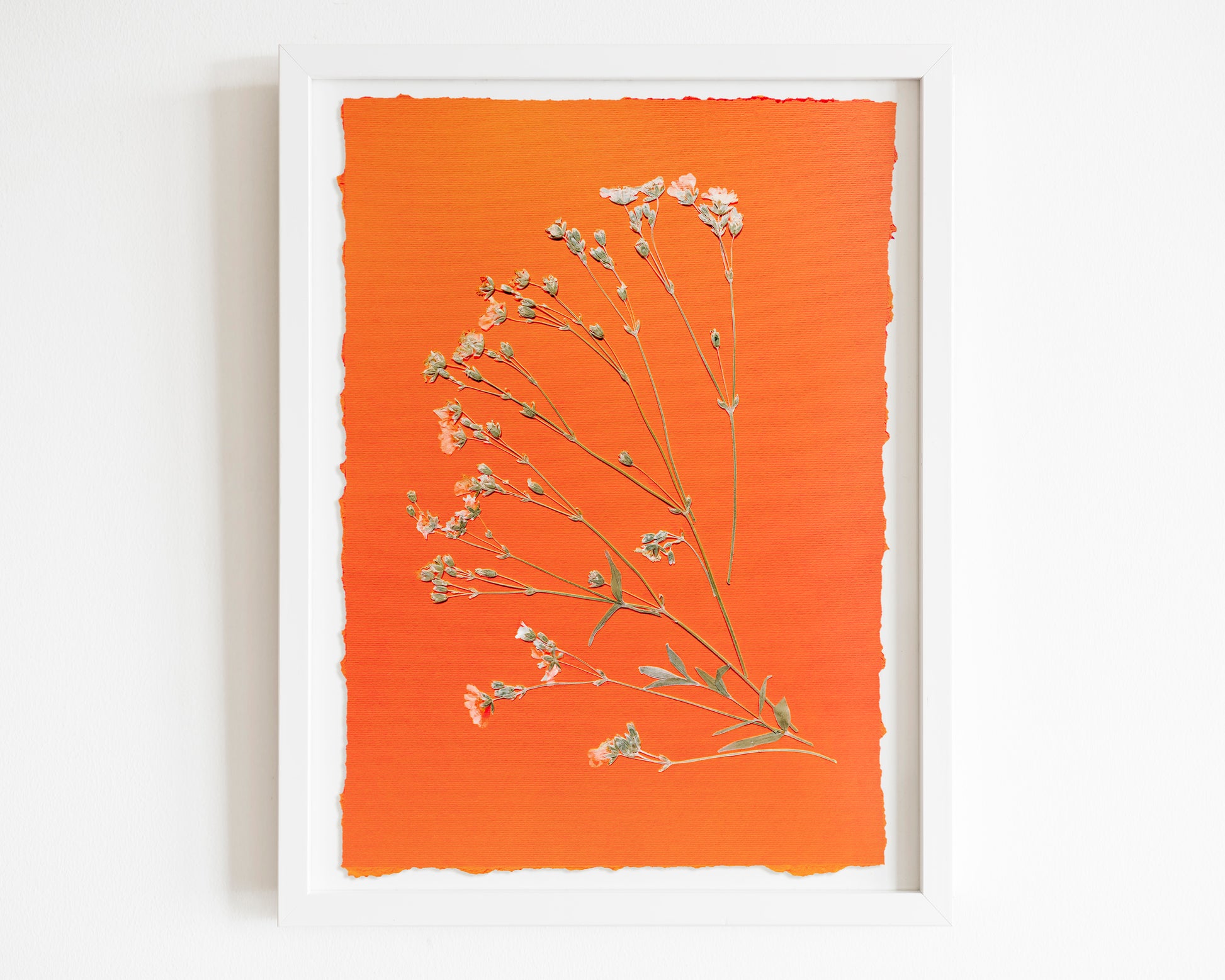 Wildflowers green and orange pressed flower and plant artwork for Nature lover gift UNFRAMED / dried flowers, original artwork, handmade art, herbarium for kitchen, living room, dining room, bedroom and new home gift