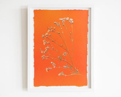 Wildflowers green and orange pressed flower and plant artwork for Nature lover gift UNFRAMED / dried flowers, original artwork, handmade art, herbarium for kitchen, living room, dining room, bedroom and new home gift