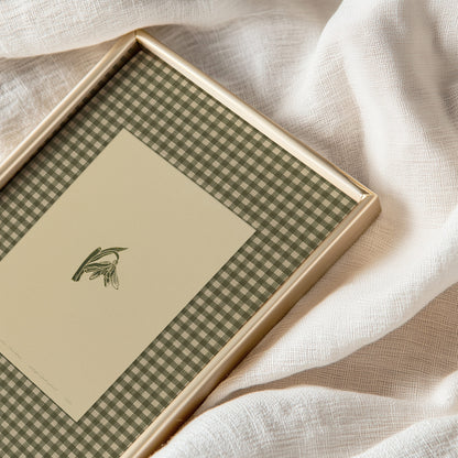 Printable Sage Green Gingham Snowdrop Flower Linocut Prints Retro Chateaucore Checkered Wall Art Fireplace Romantic dining kitchen Decor Digital Poster winter spring
woodland illustration, Christmas gift ideas, monoprints, Housewarming gift, Thanksgiving, Monochrome earth tone palette, hostess gift downloadable, neutral earth tones, hallway wall decor, wellness home gift unique, heirloom gift, wellness home decor, bathroom prints, vintage poster, earthy green tones, grandmother gift, new 