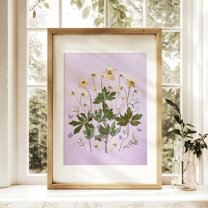 spring wall art
dried flowers
white violets
forest anemone
green pressed leaves
wildflower wall art
purple paper
floral wall decor
plant lover gift
original artwork
pressed flower art
one of a kind
grandmother gift
Modern kitchen art
Dining room wall decor
Entryway decor
Mother day gift
mom birthday gift
grandma gift
new mom gift
grandmother gift
gift for aunt
hostess gift