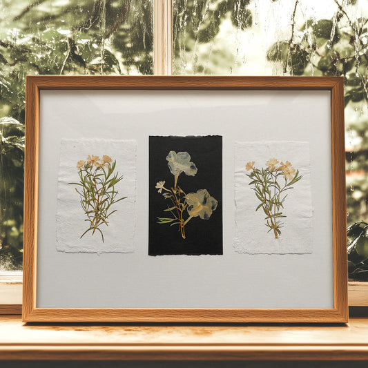 Cottagecore Petunia dried flowers and garden flower plants Original artwork on plexiglass white recycled and black paper wall hanging, unique wall art, trendy wall art, thank you gift boss, teacher appreciation gift, Summer wall art, Spring wall art, sister in law gift, shelf decor, self gift, rustic wall art, retirement gift, realtor closing gift, pressed plants art, pressed leaves art, Pressed flower art, Plant print, plant lover gift, original artwork, one of a kind, nurse gift