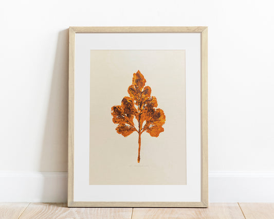 Monotype print
Nature lover gift
abstract leaf Plant
Textured printmaking
Original artwork
painting farmhouse
One of a kind
cottagecore foraged
ochre brown relief
thanksgiving decor
Gift hostess fall
autumn wall art
Bedroom Living Room