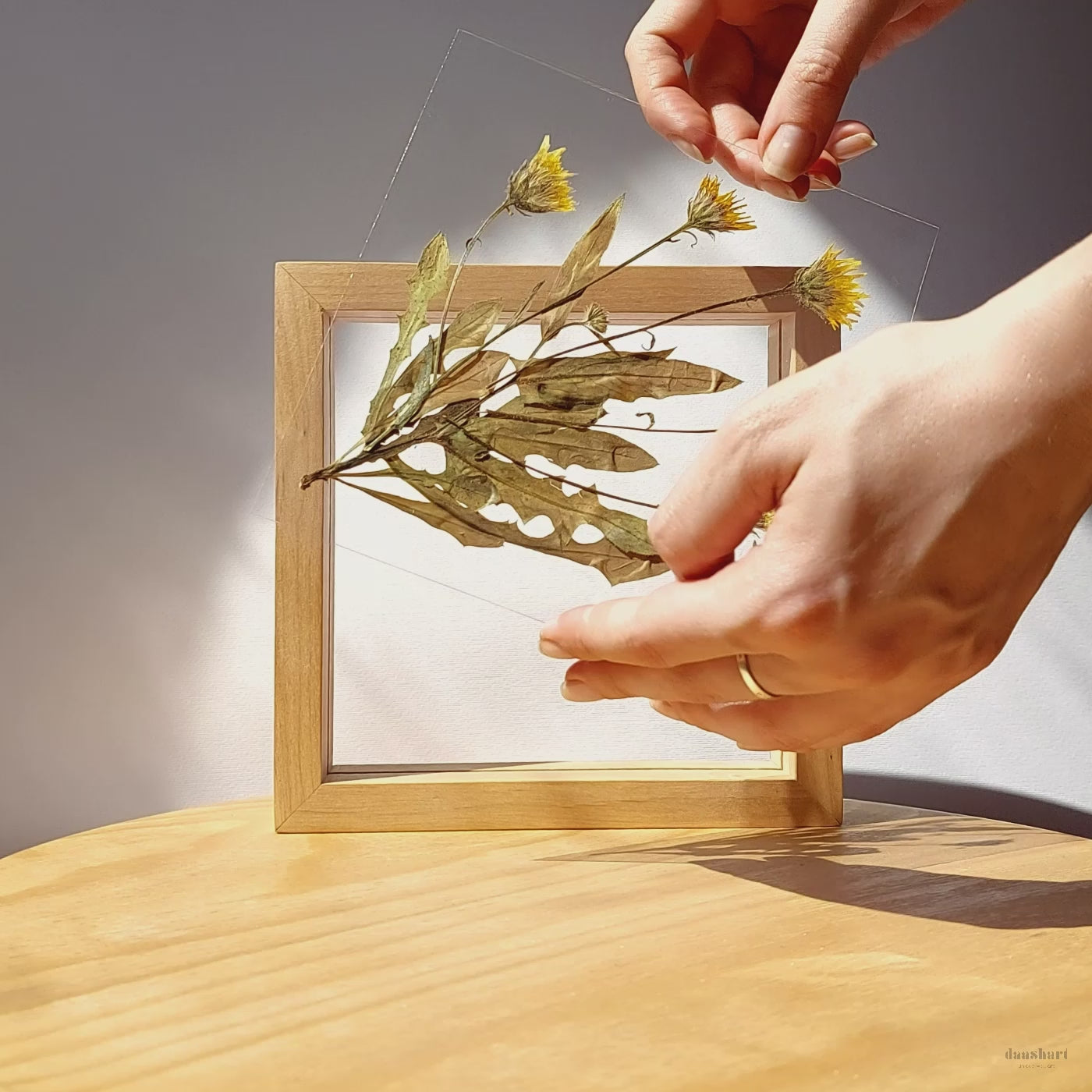 Real wild yellow pressed flower and plant artwork with wooden square frame for Nature lover gift for living room