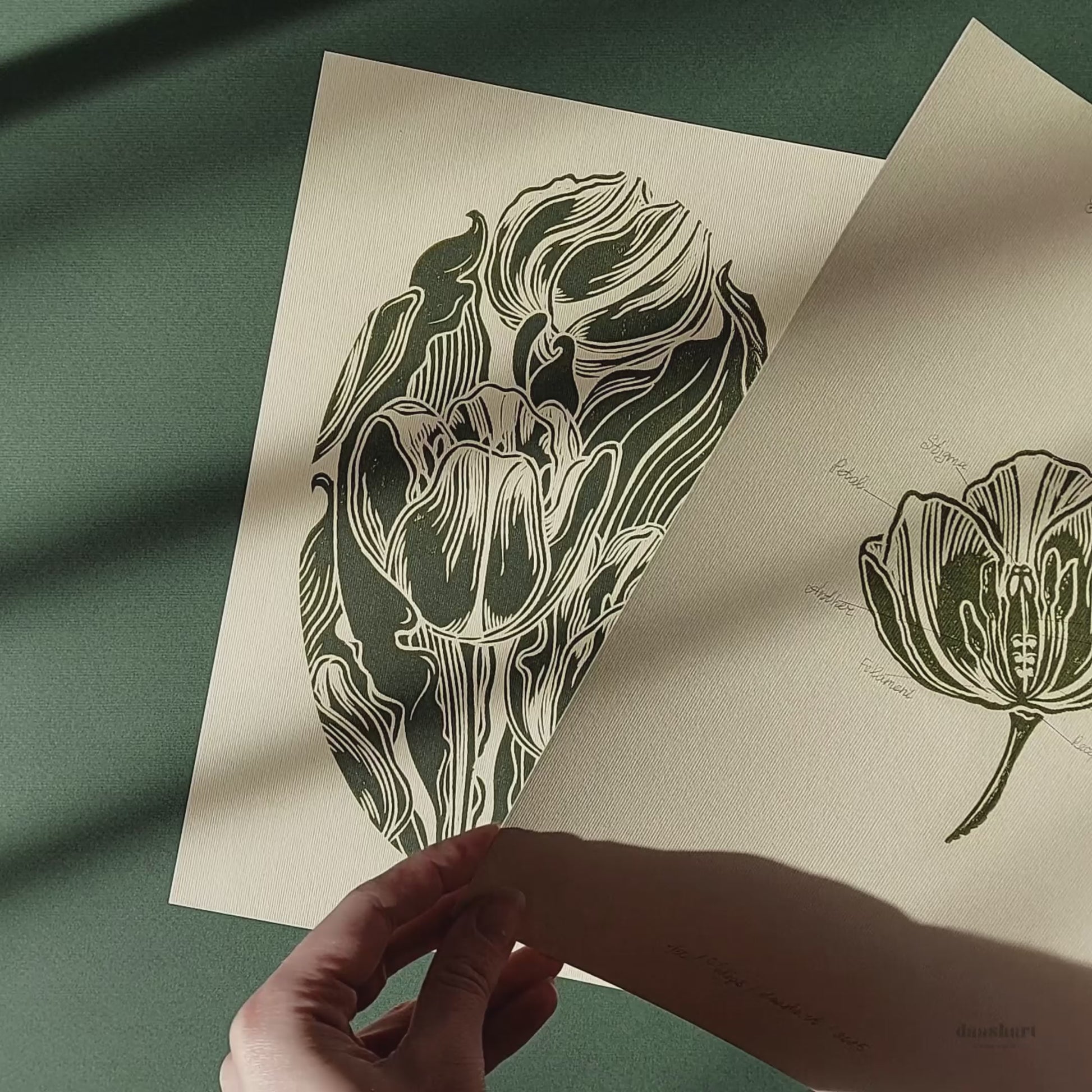 Gallery Wall Set of 2 Vintage Anatomy Tulip Flowers Linocut Print Wall art decor Linogravure Linocut print Lino print flower wall hanging Vintage art unique wall art trendy thank you gift boss teacher appreciation gift Summer Spring wall art sister in law gift signature shelf decor self gift Sage green color rustic wall art Retro artwork retirement Relief print realtor closing gift Printmaking art plant lover gift original illustration original