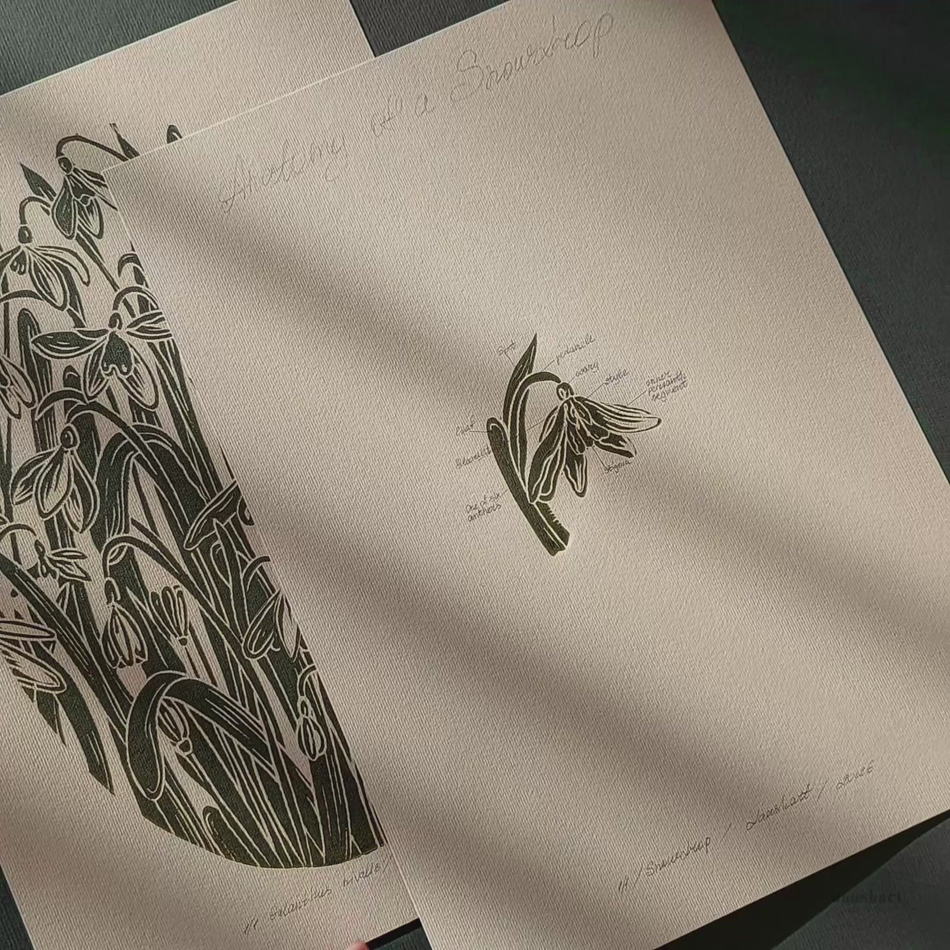 Sage green and beige gallery wall set of 2 peace vintage anatomy snowdrop flowers retro linocut print original artwork herb botanical art primary bedroom focal point staircase mother gift ideas floral lino rustic linogravure relief handprint cottagecore living hostess gift chateaucore farmhouse mother grandmother for professor home office workspace handmade nature lover rustic farm room dining entryway kitchen dorm mom wife woman sister girlfriend godmother apartment Present Gratitude Professor