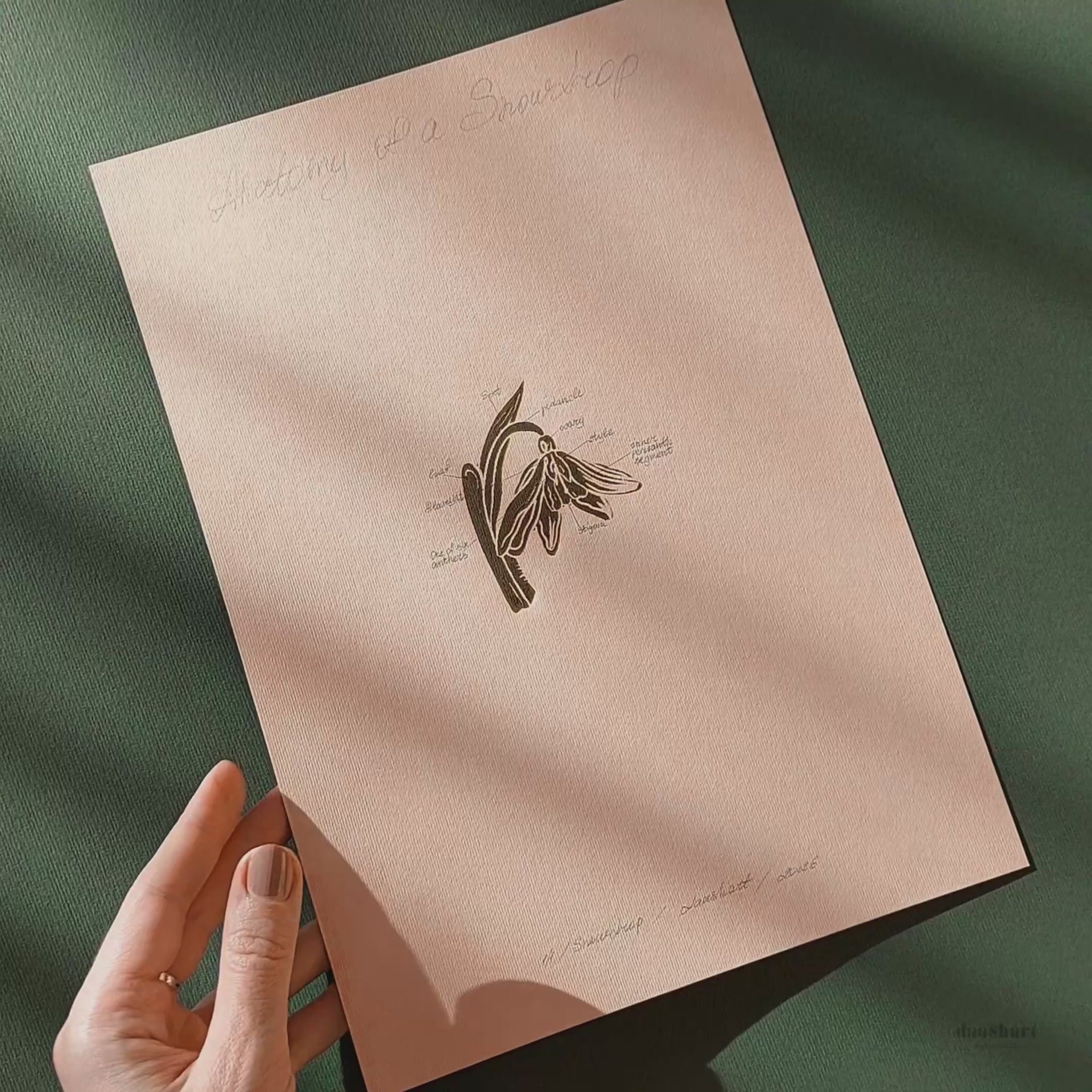 Vintage Anatomy Snowdrop Flower Linocut Print Original Wall Art Chateaucore Relief Handprint Quiet Luxury Study Decor Nature Mom Lover Gift
 natural history, vintage science, Retro artwork retirement Relief print realtor closing gift foyer wall art, Printmaking art plant lover gift original illustration original artwork one of a kind office wall decor nurse gift niece gift from aunt new mom gift new job gift great room wall decor, cozy living space art, primary bedroom art, entryway wall decor, staircase