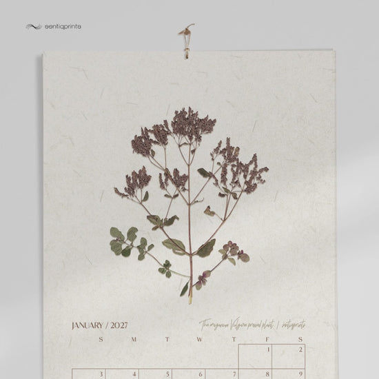 Earth tones nature printable calendar monthly calendar digital planner pressed flower plant lover gift home office decor instant download vintage herbarium cottagecore wall art 2027 large calendar christmas hostess new year 2027 gift farmhouse wall decor botanical retro chateaucore grand millennial modern kitchen mom gift rustic living room antique illustration dining room hostess thank you downloadable bedroom housewarming mother grandmother sister wife women girlfriend Entryway reading nook