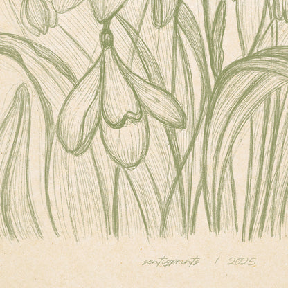 sage green color
vintage sketch
snowdrop flowers
spring wall art
floral prints
printable wall art
cottagecore wall art
lines art
modern kitchen art
digital poster
dining room decor
hand drawn prints
mothers day gift
spring wall art
farmhouse wall decor
floral wall art
botanical prints
rustic wall art
nature wall art
cottagecore wall art
foraged wall art
farm decor
aesthetic wall art
retro wall art
vintage poster
bedroom wall decor
modern kitchen art
dining room decor
living room wall art
dorm room decor