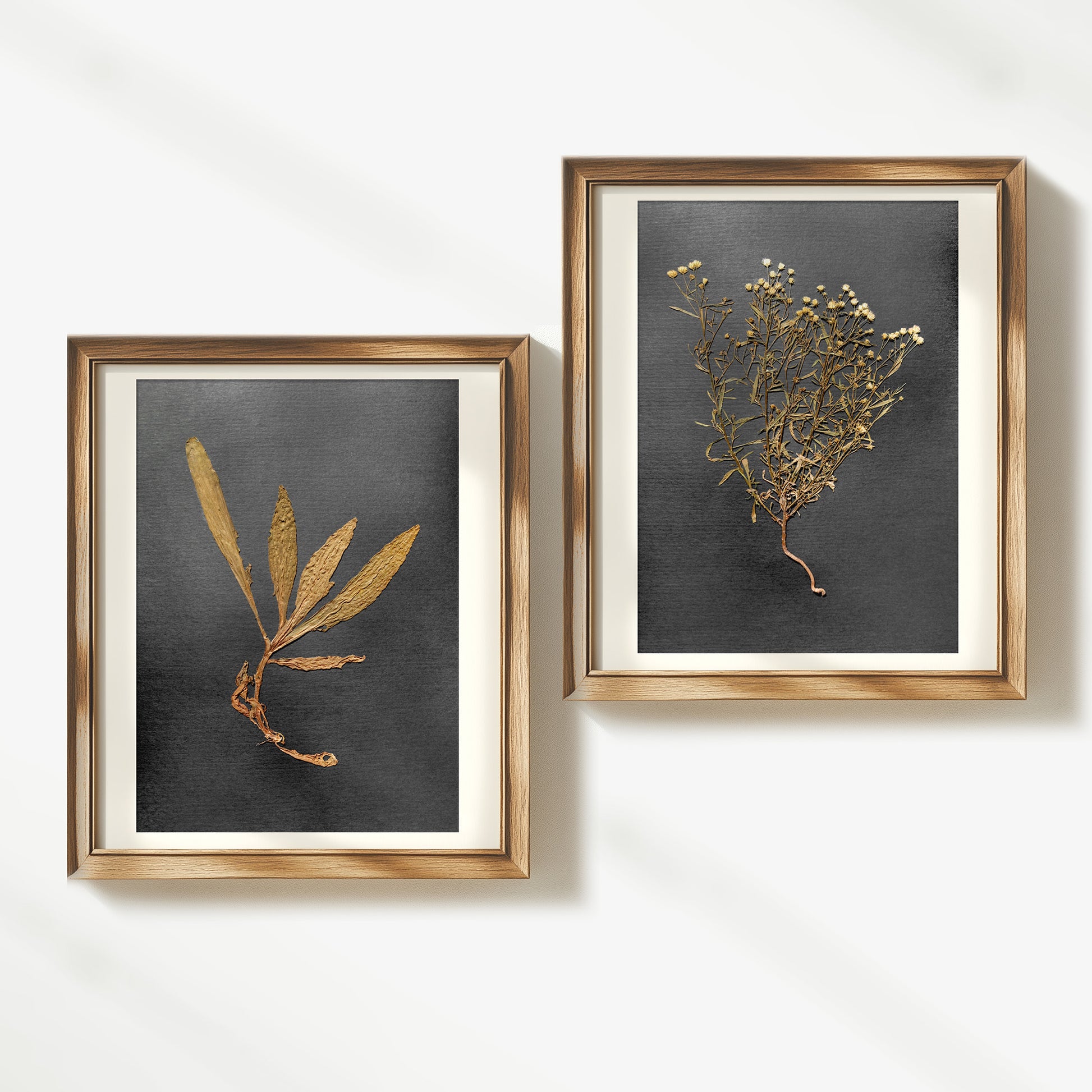 gallery wall with hanging plants Gallery wall set of 2 unique plants Dried wildflowers Black paper orig – daashart