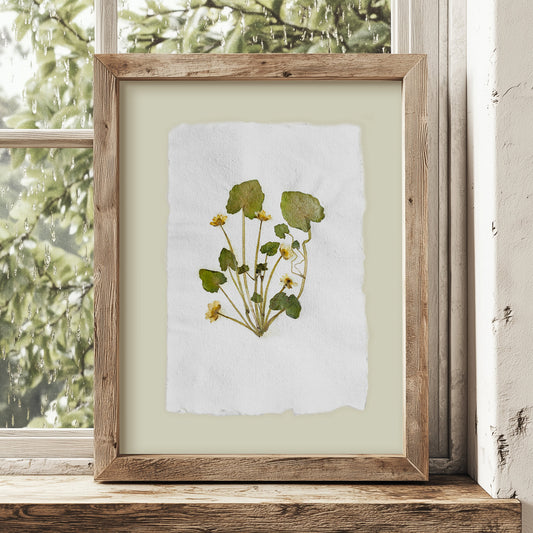 "Ficaria verna" Herbarium Yellow and green dried flower Original artwork Recycled paper UNFRAMED Pressed flowers One of a kind Bedroom Living room Farmhouse kitchen Cottagecore wall art Foraged Vintage Retro home decor Housewife Mother Gift Nature Plant lover gift 