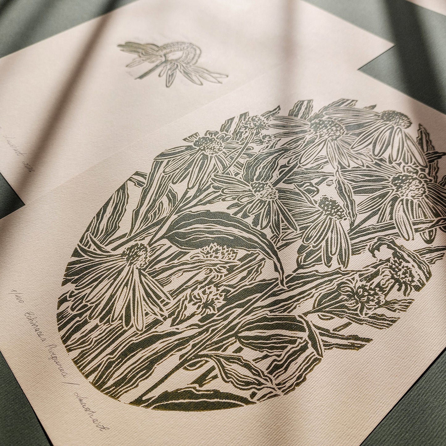 gallery wall set of 2 piece vintage anatomy echinacea purpurea flowers retro linocut print original artwork poison botanical master bedroom window nook decor sister gift floral lino rustic linogravure Sage green monochrome herb botanical staircase mother romantic vintage focal point relief handprint cottagecore living hostess farmhouse mother grandmother professor home office workspace handmade nature lover farm room dining entryway kitchen dorm mom wife woman girlfriend godmother apartment