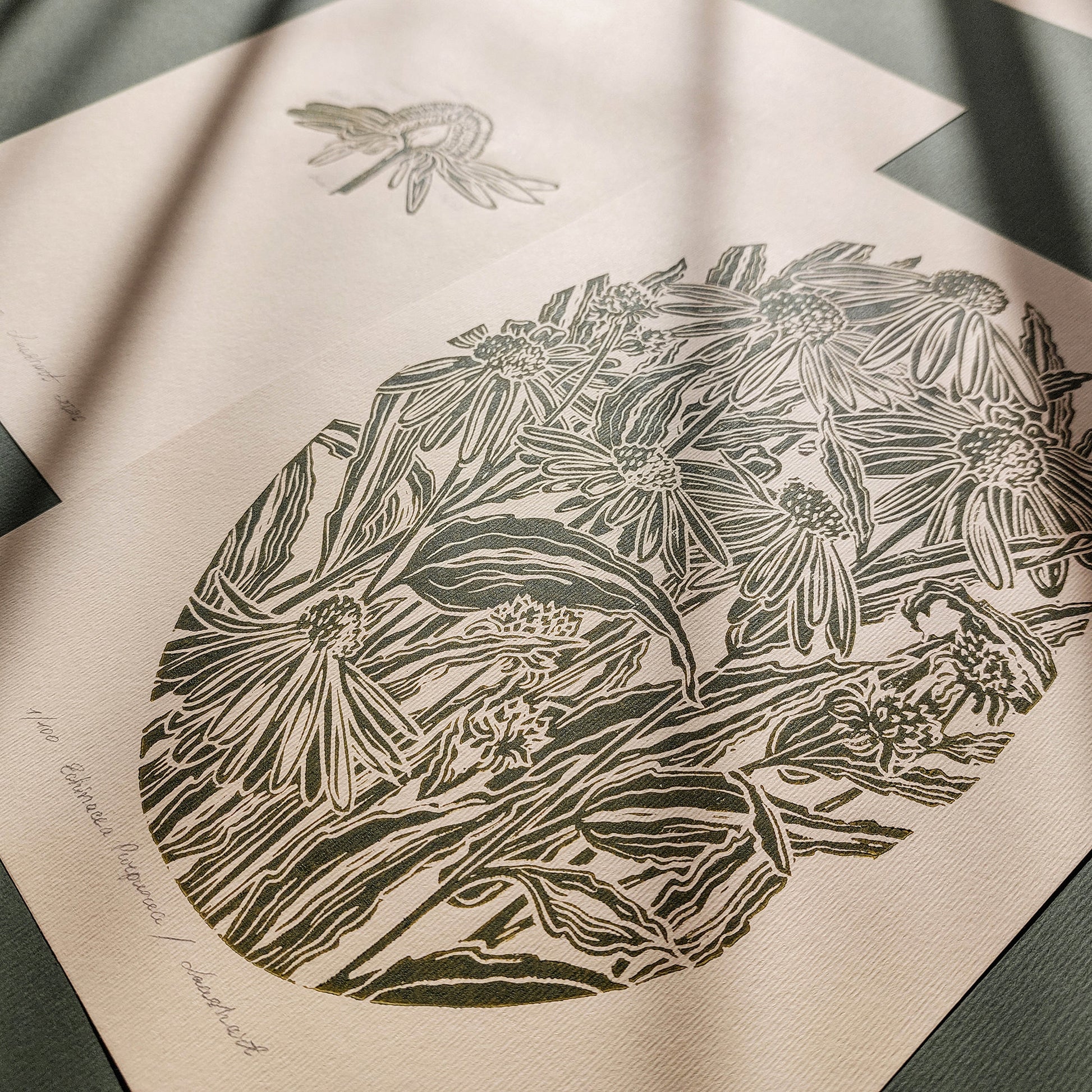 gallery wall set of 2 piece vintage anatomy echinacea purpurea flowers retro linocut print original artwork poison botanical master bedroom window nook decor sister gift floral lino rustic linogravure Sage green monochrome herb botanical staircase mother romantic vintage focal point relief handprint cottagecore living hostess farmhouse mother grandmother professor home office workspace handmade nature lover farm room dining entryway kitchen dorm mom wife woman girlfriend godmother apartment