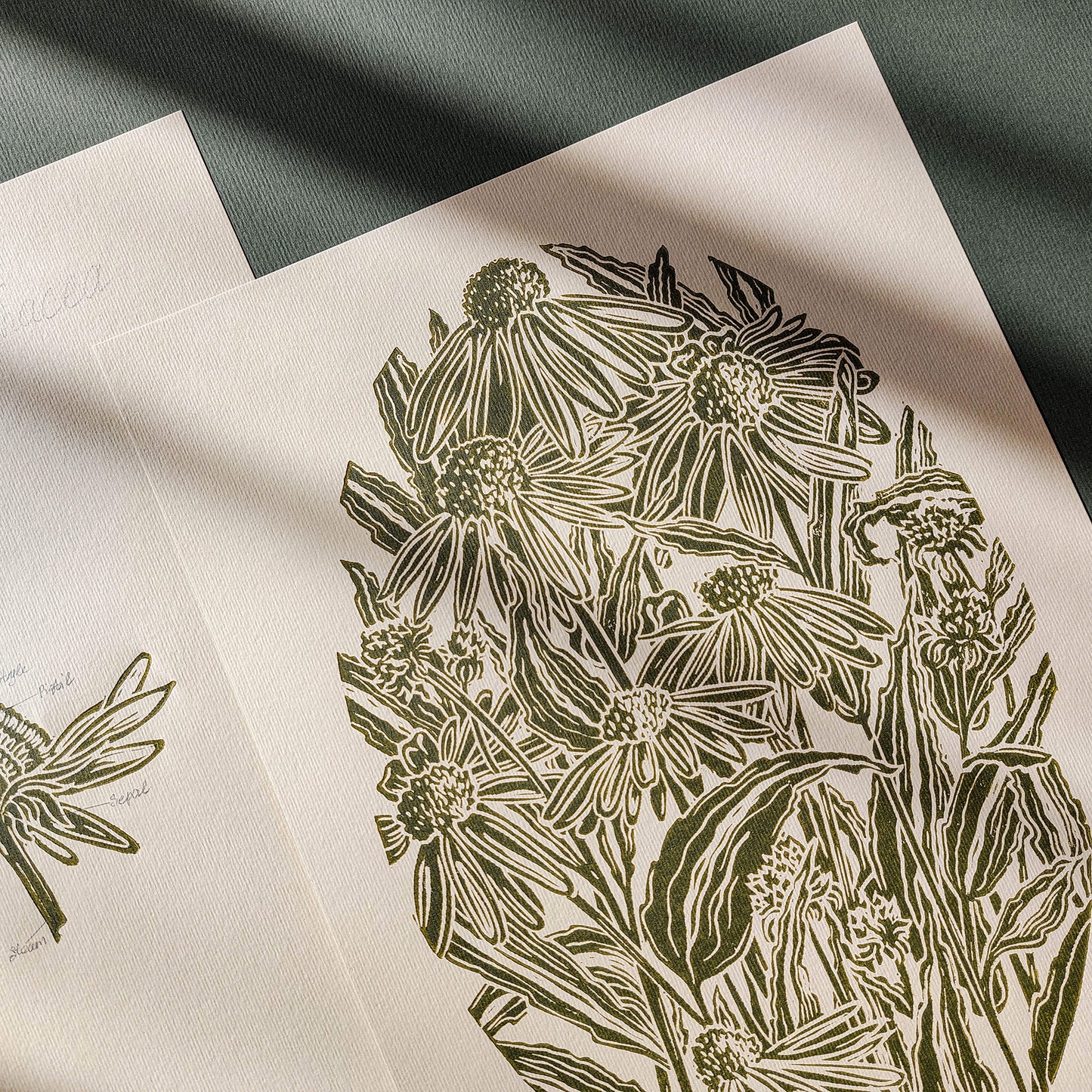 gallery wall set of 2 piece vintage anatomy echinacea purpurea flowers retro linocut print original artwork poison botanical master bedroom window nook decor sister gift floral lino rustic linogravure Sage green monochrome herb botanical staircase mother romantic vintage focal point relief handprint cottagecore living hostess farmhouse mother grandmother professor home office workspace handmade nature lover farm room dining entryway kitchen dorm mom wife woman girlfriend godmother apartment