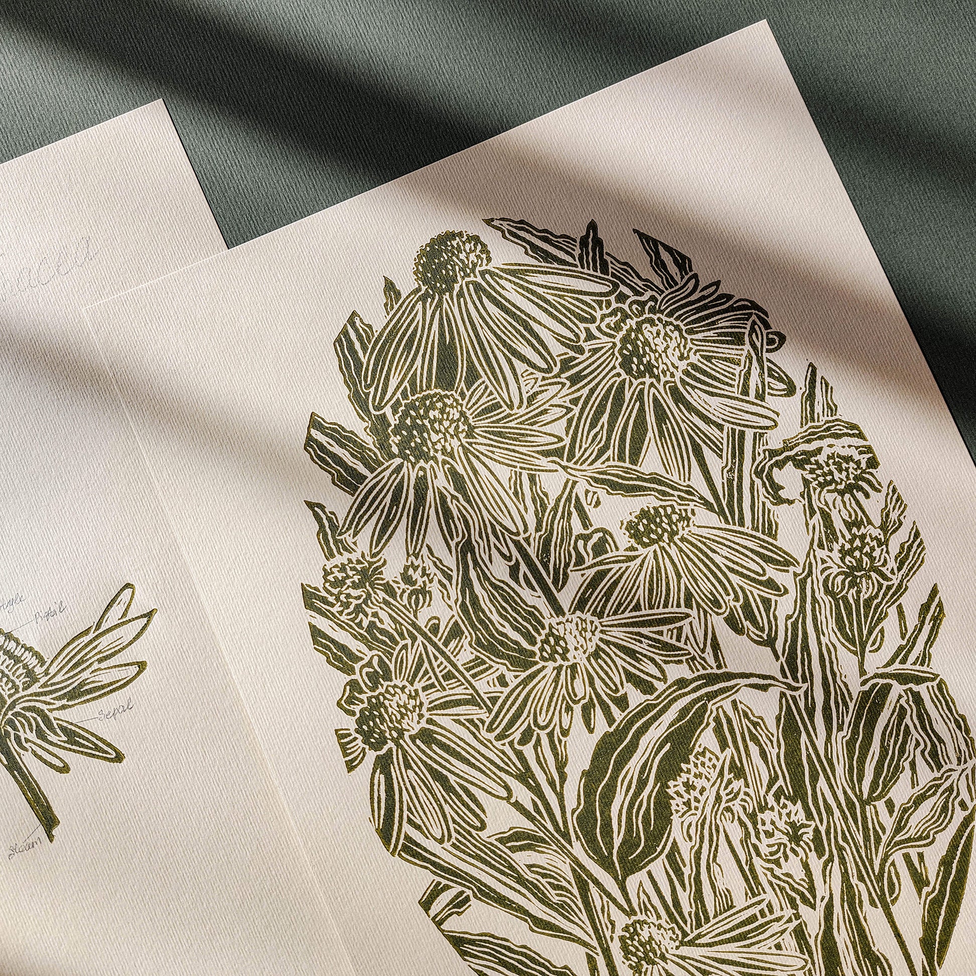 gallery wall set of 2 piece vintage anatomy echinacea purpurea flowers retro linocut print original artwork poison botanical master bedroom window nook decor sister gift floral lino rustic linogravure Sage green monochrome herb botanical staircase mother romantic vintage focal point relief handprint cottagecore living hostess farmhouse mother grandmother professor home office workspace handmade nature lover farm room dining entryway kitchen dorm mom wife woman girlfriend godmother apartment