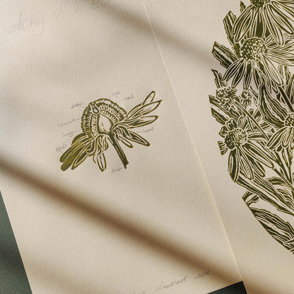 gallery wall set of 2 piece vintage anatomy echinacea purpurea flowers retro linocut print original artwork poison botanical master bedroom window nook decor sister gift floral lino rustic linogravure Sage green monochrome herb botanical 
cozy living space art, primary bedroom art, entryway wall decor, staircase wall decor, retro dining area, New home gift new grandma gift new apartment moody, quiet luxury, soft neutral, slow living, romantic vintage wall art, EUROPEAN SOUL, french countryside, scandinavian