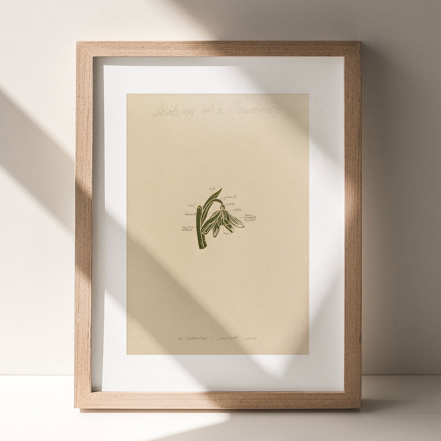 Sage green beige vintage flower art snowdrops flowers rustic linocut print floral lino winter botanical original artwork reading nook decor farm retro primary bedroom european countryside mother gift ideas relief handprint nature linogravure chateaucore hallway block farmhouse living room hostess new apartment for professor home office workspace handmade educational dining entryway kitchen dorm mom wife woman sister girlfriend godmother Present Gratitude family craft room foyer laundry mudroom