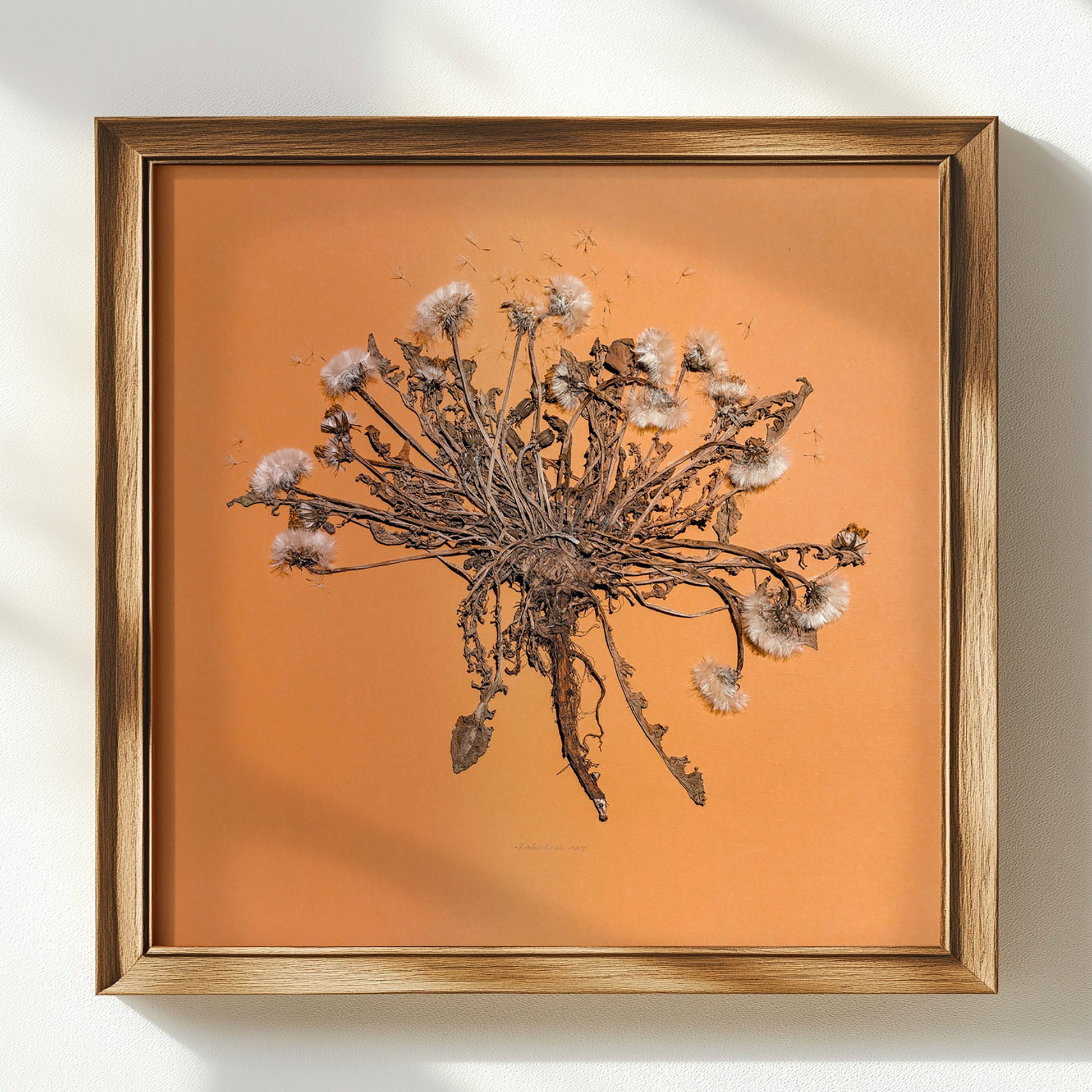 Neutral beige large dandelion dried flowers and plant Wall hanging decor mother in law gift, Handmade Seasonal Decor, mom birthday gift, Modern kitchen art, long distance gift, Gift to Say Thanks, Calm Holiday, living room wall art minimalist, Living room wall art, laundry room decor, kitchen wall art, Xmas, nature art educators, Thankful Wall Decor, Housewarming gift, hostess gift, home gift unique, Herbarium art, Gratitude Gift for Mentor, Coworker, Eco Friendly Thank You Gift, heirloom gift, gift 