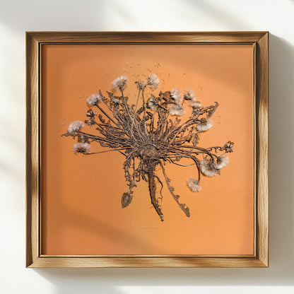 Neutral beige large dandelion dried flowers and plant Wall hanging decor mother in law gift, Handmade Seasonal Decor, mom birthday gift, Modern kitchen art, long distance gift, Gift to Say Thanks, Calm Holiday, living room wall art minimalist, Living room wall art, laundry room decor, kitchen wall art, Xmas, nature art educators, Thankful Wall Decor, Housewarming gift, hostess gift, home gift unique, Herbarium art, Gratitude Gift for Mentor, Coworker, Eco Friendly Thank You Gift, heirloom gift, gift 